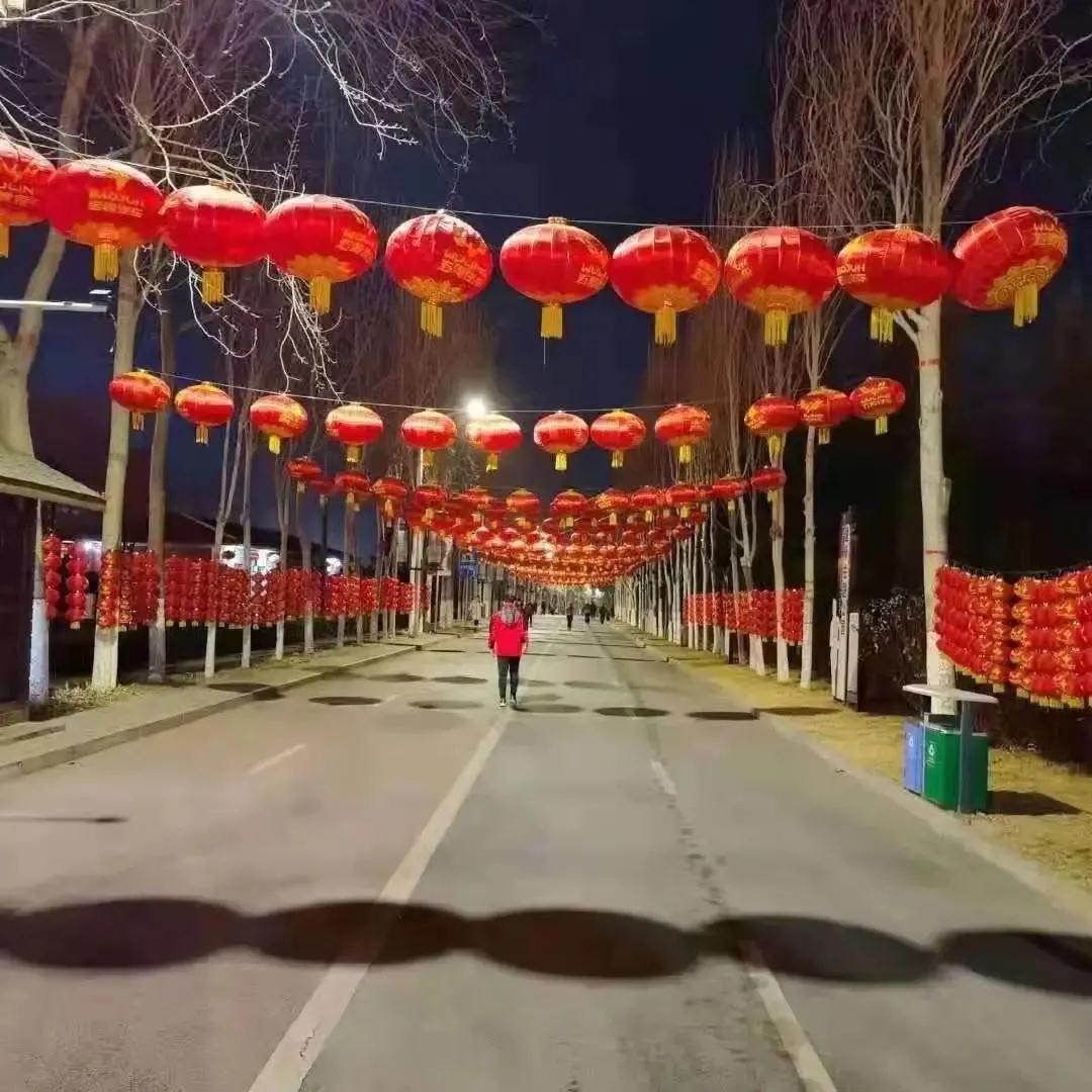 yl23455永利