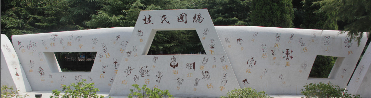 yl23455永利