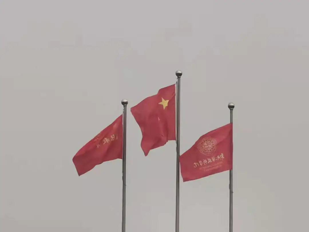 yl23455永利