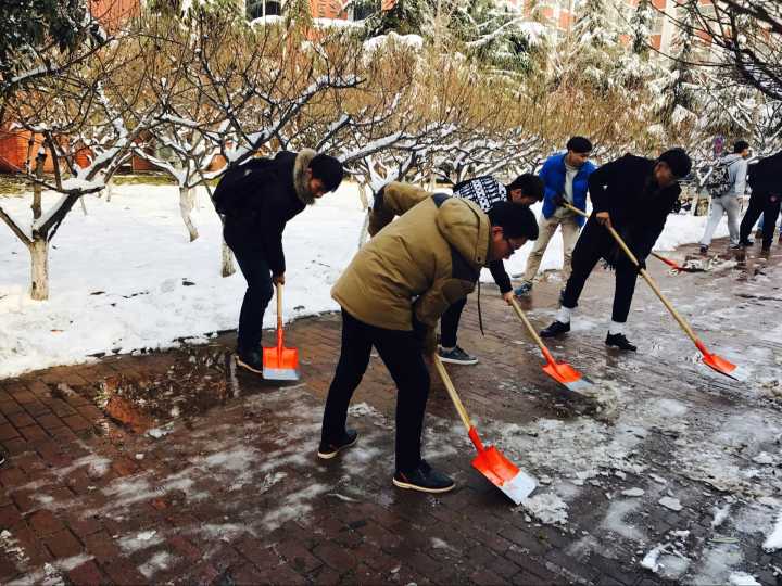 清理教学楼前 yl23455永利